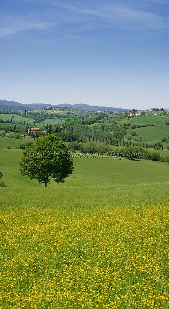 12434_12_05_2012_torrita_di_siena_tuscany_italy_toscana_italien_spring_fruehling_scenic_outlook_viewpoint_panoramic_landscape_photography_panorama_landschaft_foto_3_4668x8555.jpg